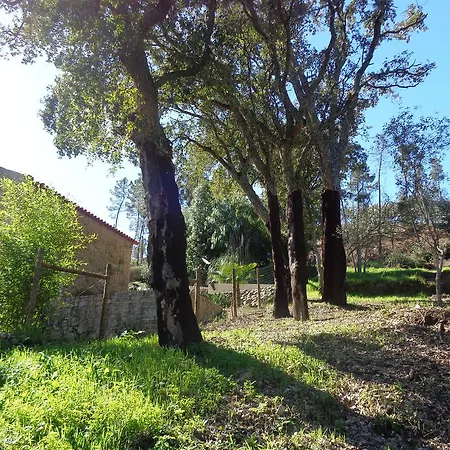 Holiday home Oak Ferreira do Zezere