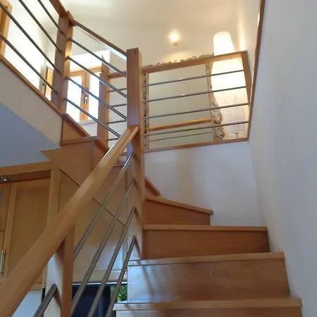 Oak Ferreira do Zêzere