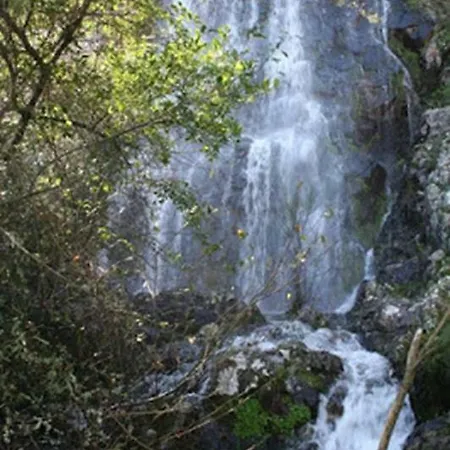 Oak Ferreira do Zêzere