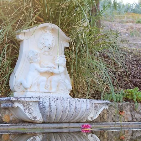 Semesterbostad Oak *