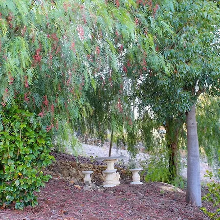 Oak Ferreira do Zêzere