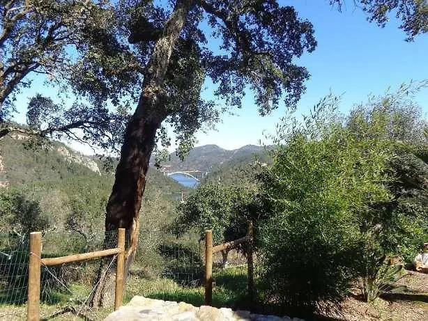 Casa vacanze Oak *