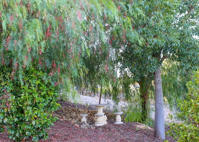 Oak Ferreira do Zêzere